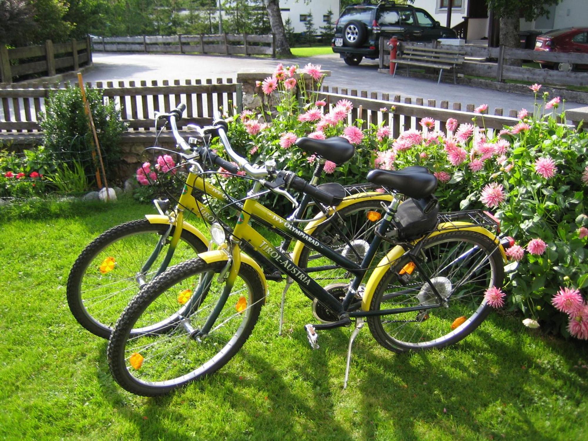 Haus Geiger Bed & Breakfast Scharnitz Bagian luar foto